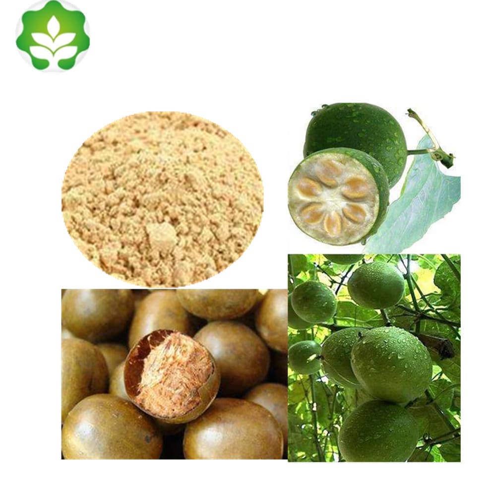 professional manufacture monk fruit extract for food supplement